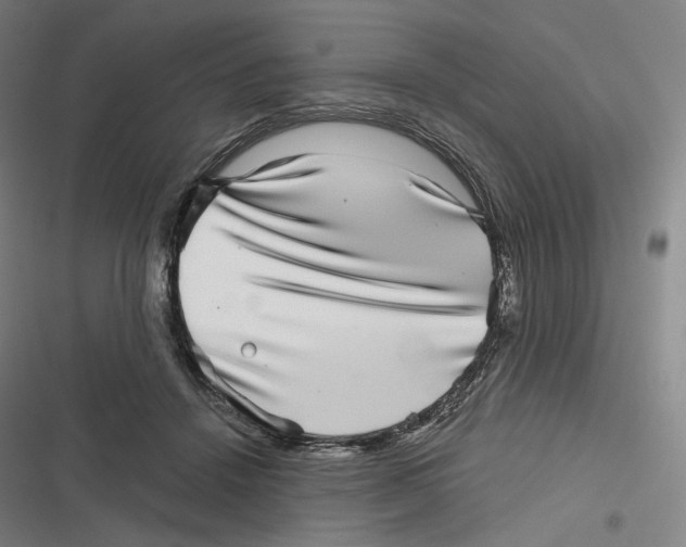 X0000116810456201001081359
