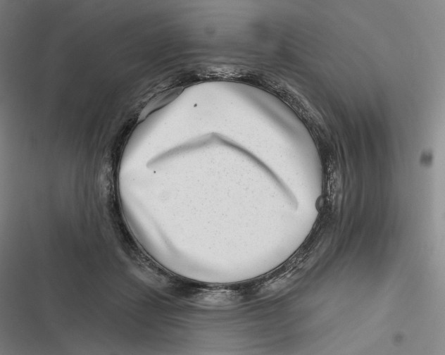 X0000116810459201001081359