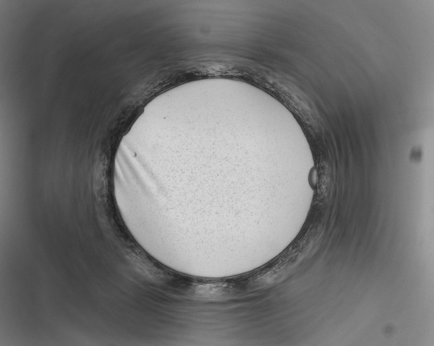 X0000116810461201001081359