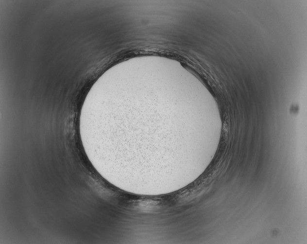 X0000116810462201001081359