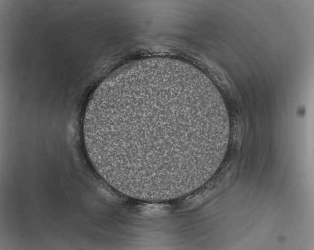 X0000116810465201001081359
