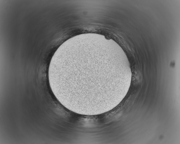 X0000116810466201001081359