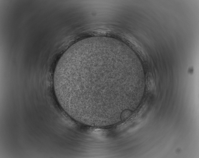 X0000116810467201001081359