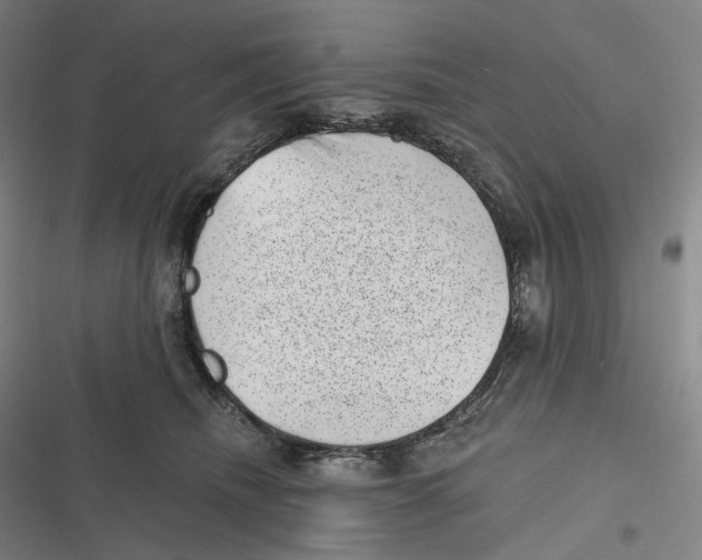 X0000116810468201001081359