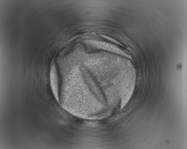 X0000116810469201001081359
