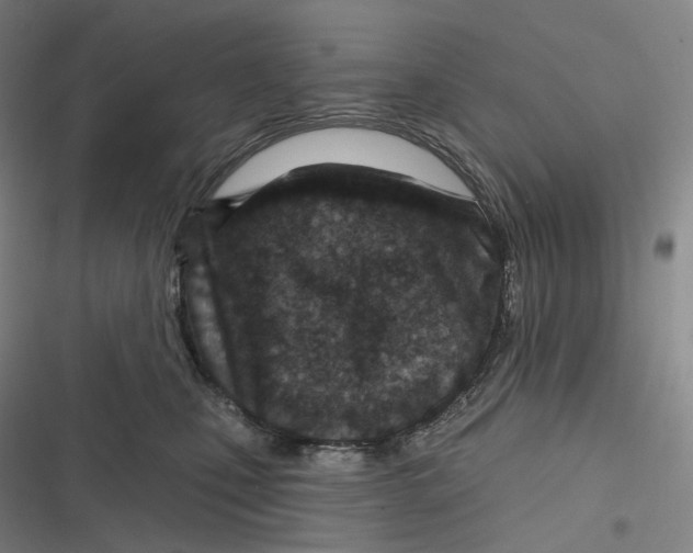 X0000116810471201001081359