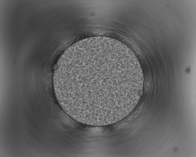 X0000116810473201001081359