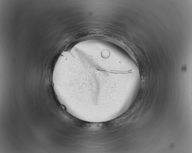 X0000116810474201001081359