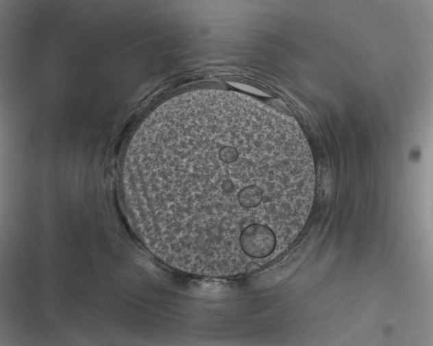 X0000116810475201001081359