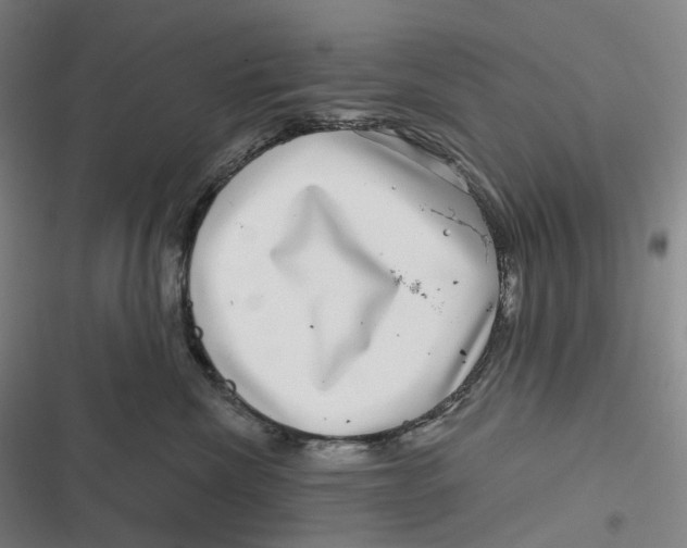 X0000116810476201001081359