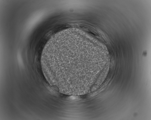 X0000116810477201001081359