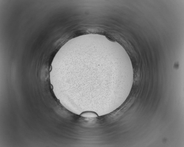 X0000116810478201001081359