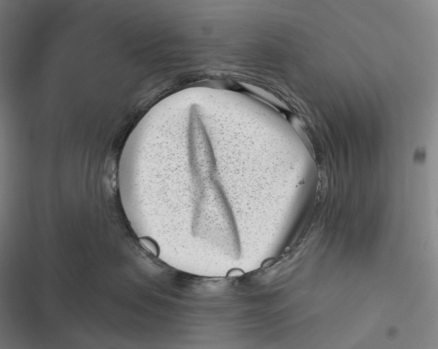 X0000116810479201001081359