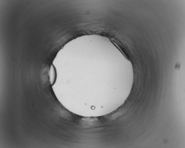 X0000116810480201001081359