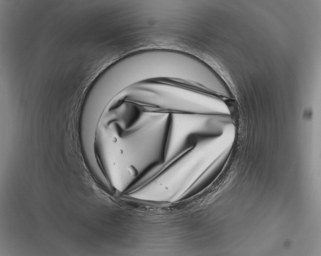 X0000116810481201001081358