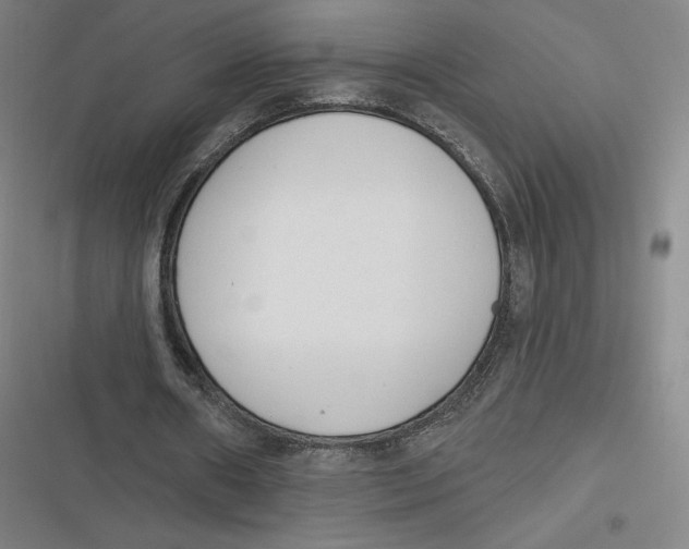 X0000116810482201001081358
