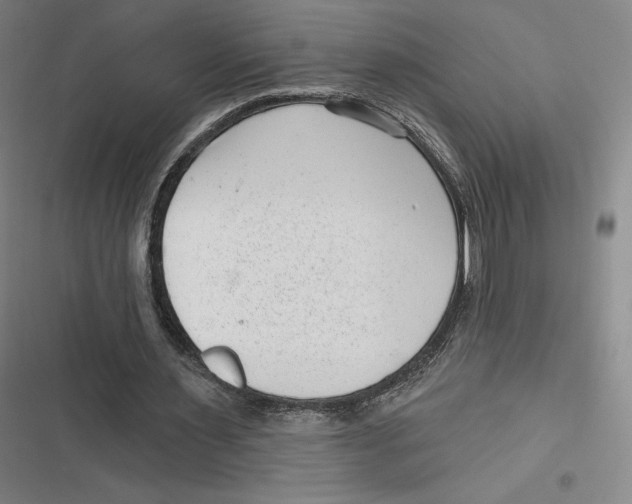 X0000116810483201001081358