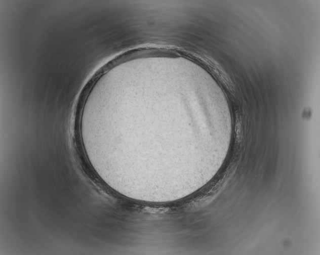 X0000116810484201001081358