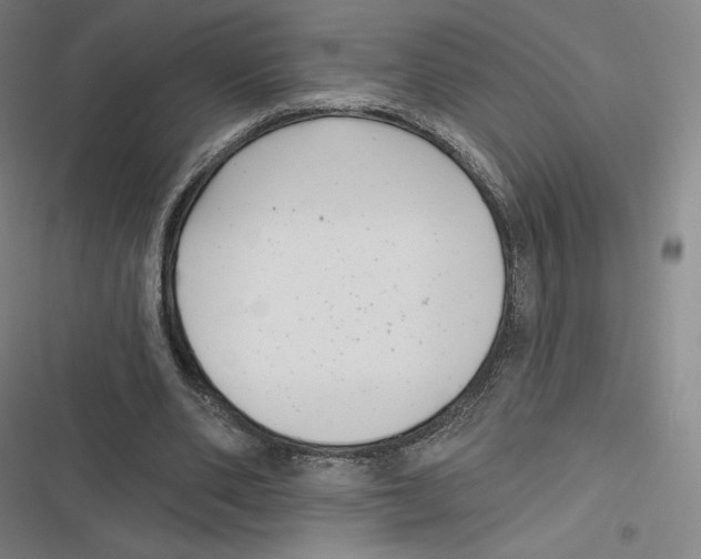 X0000116810486201001081358