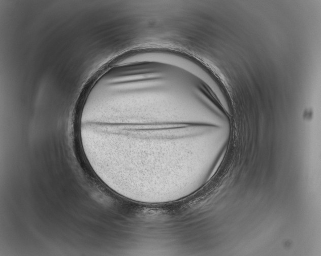 X0000116810487201001081358