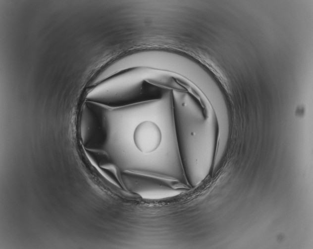X0000116810489201001081358