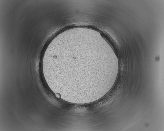 X0000116810491201001081358