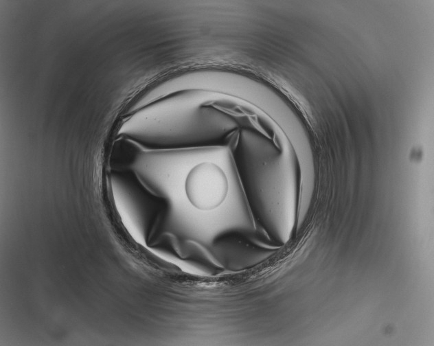 X0000116810493201001081358