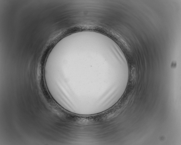 X0000116810494201001081358