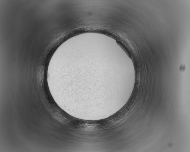 X0000116810495201001081358