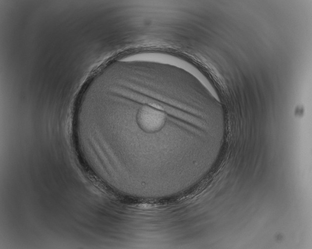 X0000116810496201001081358