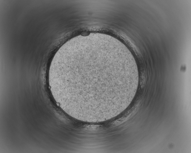 X0000116810497201001081358
