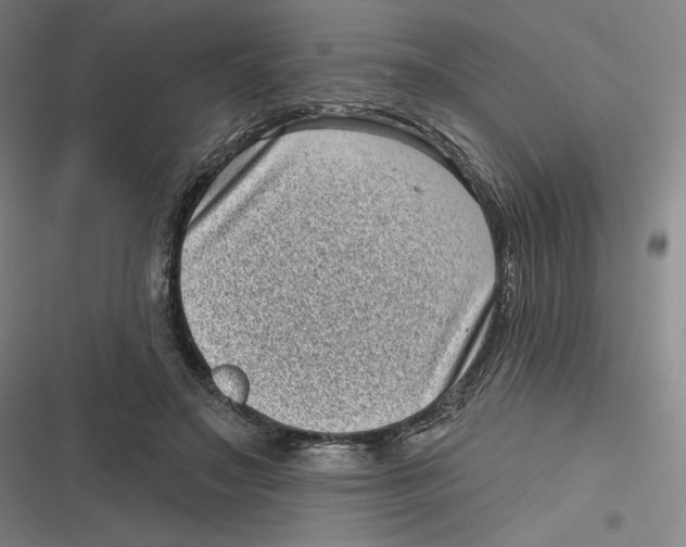 X0000116810499201001081358