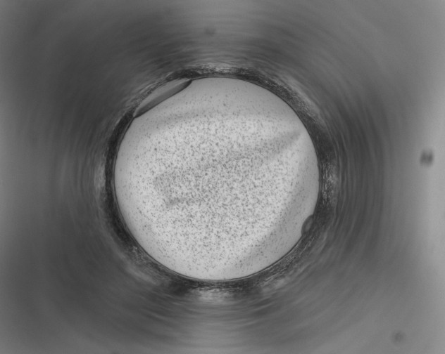 X0000116810500201001081358