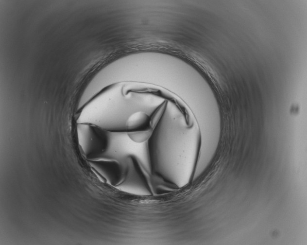 X0000116810501201001081358