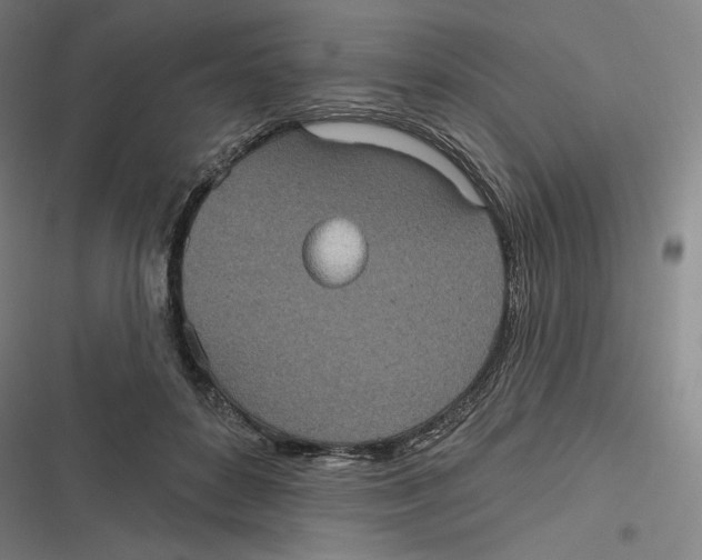 X0000116810504201001081358