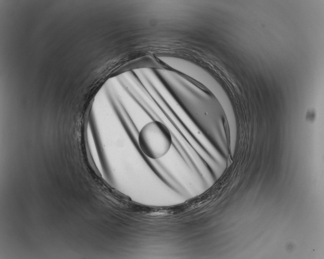 X0000116810505201001081358