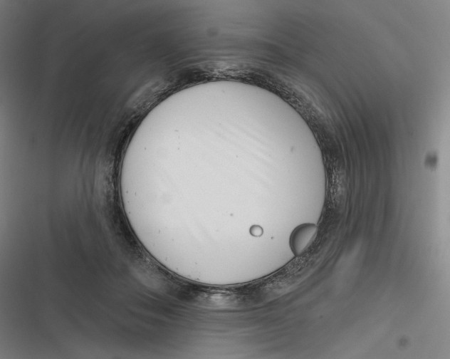X0000116810506201001081358