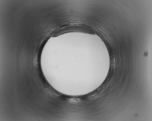X0000116810508201001081358