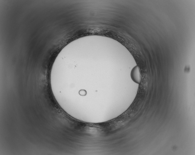 X0000116810510201001081358