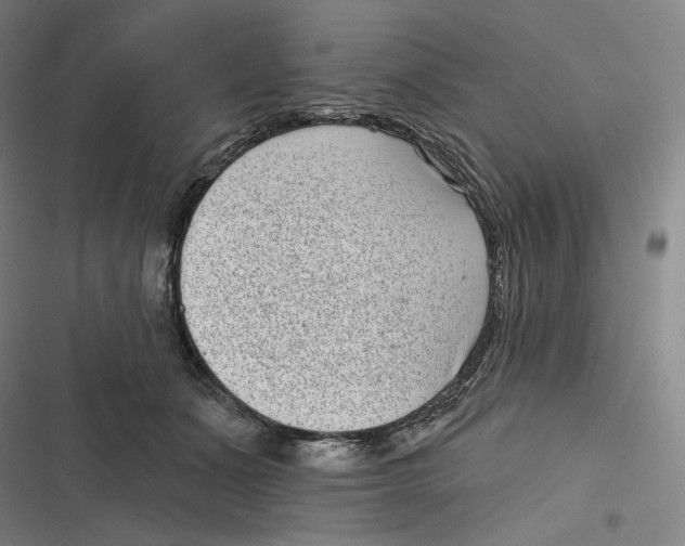 X0000116810511201001081358