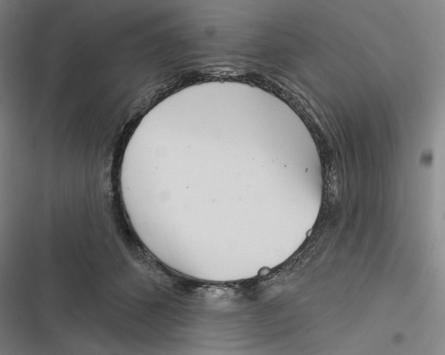 X0000116810512201001081358