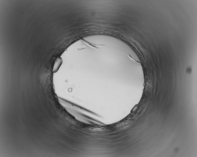 X0000116810513201001081358