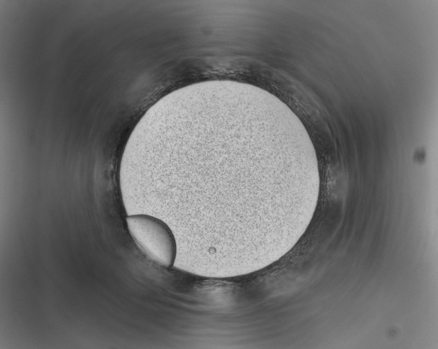 X0000116810514201001081358