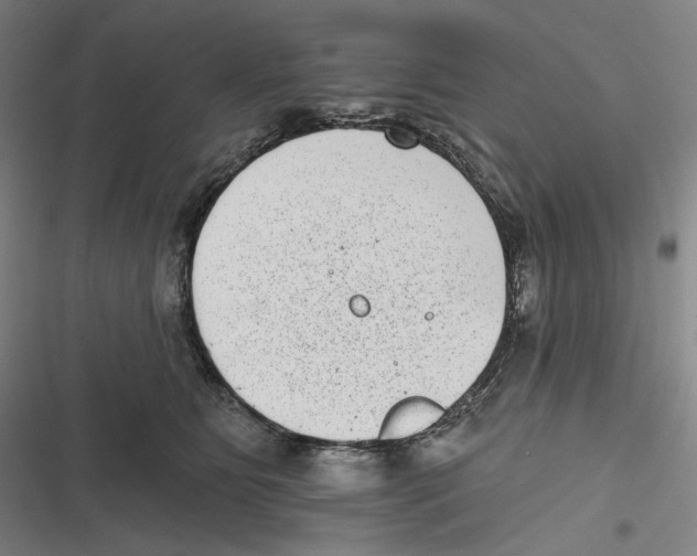 X0000116810515201001081358