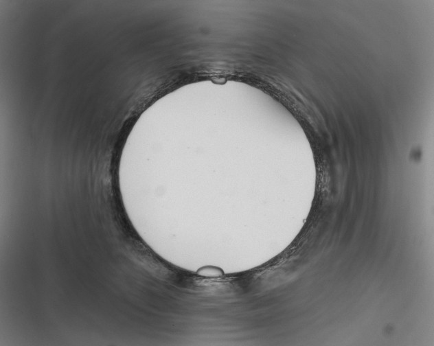X0000116810516201001081358
