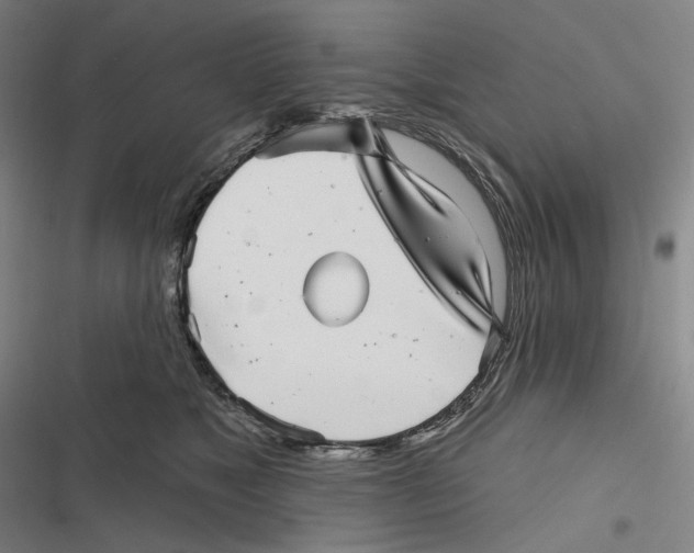 X0000116810517201001081358