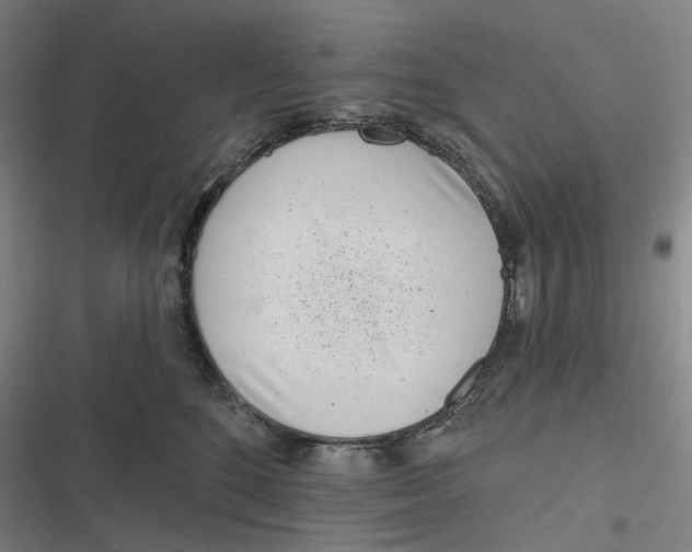 X0000116810520201001081358