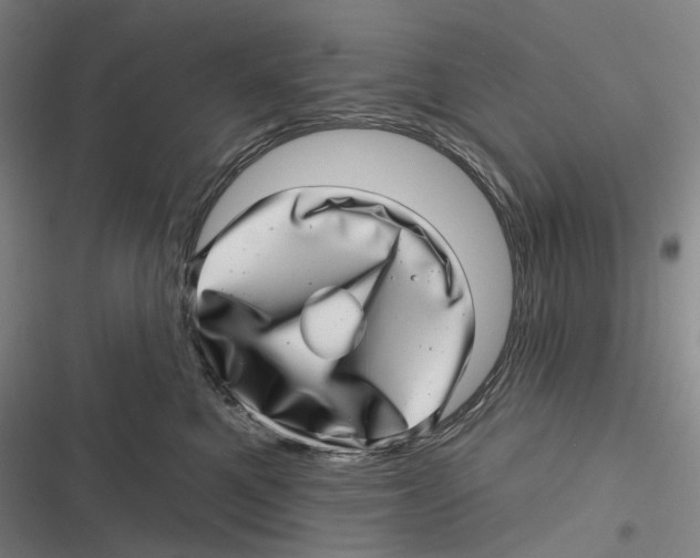 X0000116810521201001081358