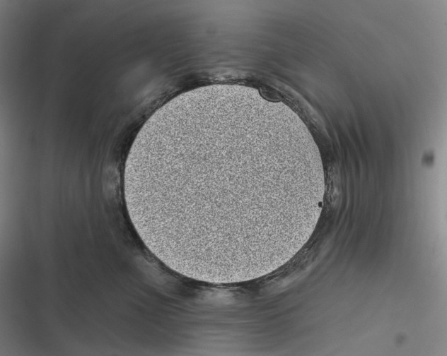 X0000116810523201001081358