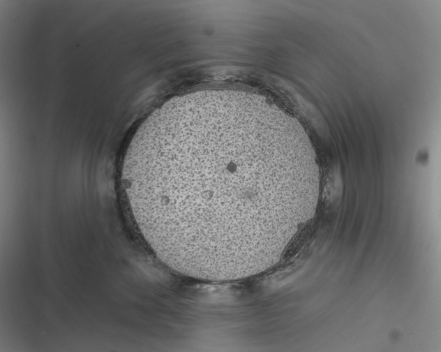 X0000116810524201001081358